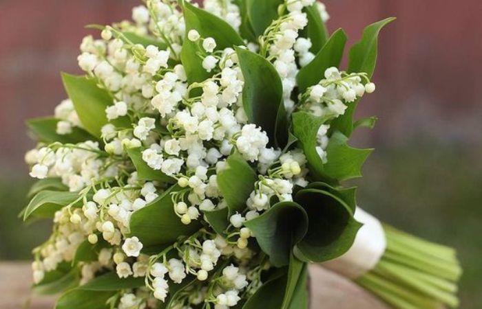 Bó hoa cưới linh lan với sự ngọt ngào và chứa đầy tình cảm