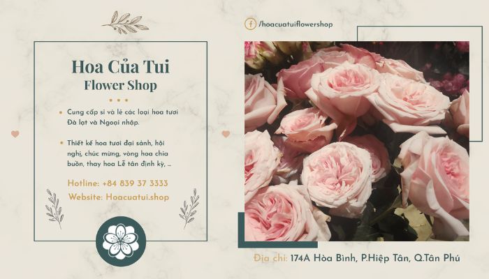 Hoa Của Tui - Shop hoa tươi chất lượng tại Sài Gòn