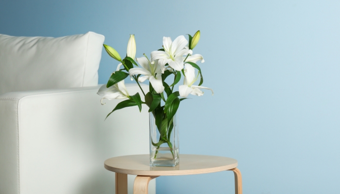 5 Tips cắm hoa ly đẹp tại nhà bạn không nên bỏ qua