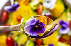 Top 10 các loại hoa ăn được giúp làm đẹp và tốt cho sức khỏe