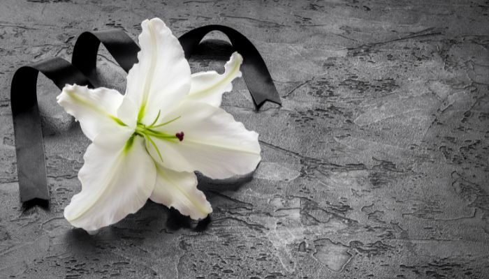 Top 10 loài hoa buồn phù hợp nhất để phúng viếng tang lễ