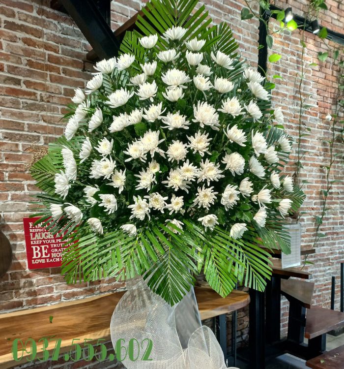 Hoa cúc trắng cũng là một trong những loài hoa buồn phù hợp tang lễ