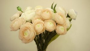 Hoa mao lương là hoa gì? Ý nghĩa và cách cắm hoa đẹp