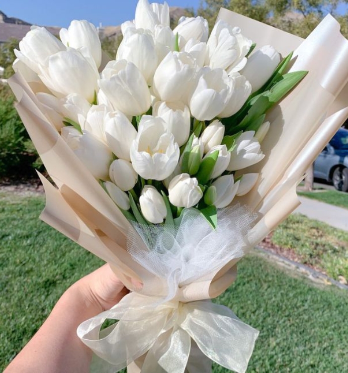 Bó hoa tulip trắng