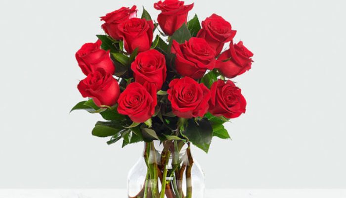Hoa hồng đỏ - Loài hoa tượng trưng cho sự viên mãn